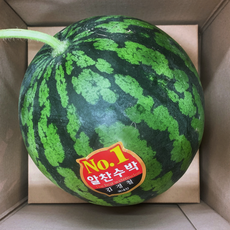 [싱싱냠냠] 가정용 고당도 주스용수박 당도선별 수박, 1개, 5키로 미만