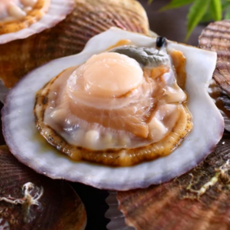 [20일한정초특가]산지직송 오동통 크기선별 통영 홍가리비, 1박스, 2kg(40미내외)