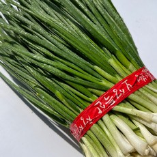 [국내산 깐쪽파] 손질된 쪽파 간편 요리용 신선 채소, 1세트, 2kg