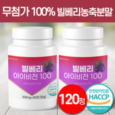 모모그라피 빌베리정 무첨가 100% 빌베리 농축 분말 식약처 HACCP 인증, 1세트, 120정