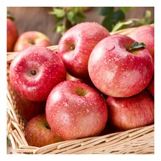 [햇살가득] 사과3kg(사과15과내외) 가정용, 상세 설명 참조
