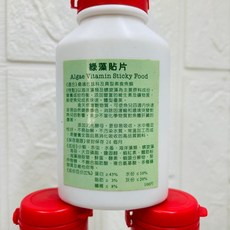 帥哥水族【GAF 黏貼飼料】貼片飼料 增豔貼片 小型魚貼片 綠藻貼片 適用 小型魚 底棲魚 鼠魚 異型 短雕 假期飼料, 1個