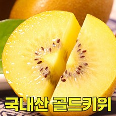 국내산 당도선별 골드키위 고당도 초특가한정, 1개, 3kg