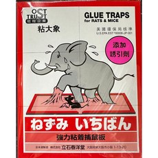 【全新現貨】黏鼠板 日本粘大象黏鼠板, 1個, 一盒