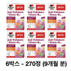 독일 도펠헤르츠 요오드 엽산 철분 비타민 B12 혈액 Doppelherz, 6박스, 45정