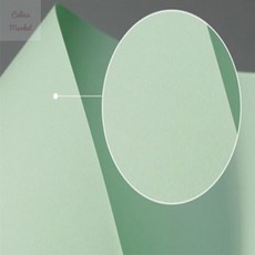 앤젤라마켓 밝은녹색 A4 20매 보고서겉표지