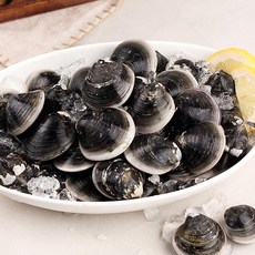 숨비해물 국산 생물 모시조개500g, 단품, 단품