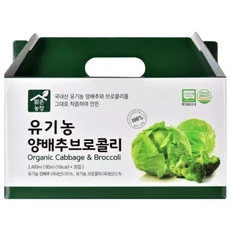 맑은농장 양배추 브로콜리즙 80ml 30개, 1개