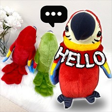 말하는 앵무새 말따라하는 새 따라쟁이앵무새, 1개