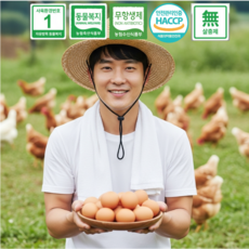 [산청마을] 무항생제 HACCP 난각1번 자연방사 유정란 계란 동물복지 방목사육, 1개, 20구
