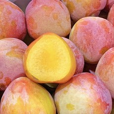 허니삼구 특품 새콤달콤 고당도 꿀 자두, 1박스, 1kg