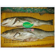 반건조농어 1kg내외 1마리 말린농어 반건조생선 매운탕 찜, 1개