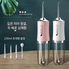 구강세정기 미국 간편한사용 치간세정기 프로페셔널 구강세정기 아쿠아픽구강세정기 워터켈링, 꽃 분말 3모드4노즐, 단일 모델