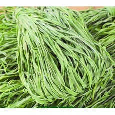 말린 궁채나물 건궁채 줄기상추 뚱채 업소용 반찬재료, 1개, 500g