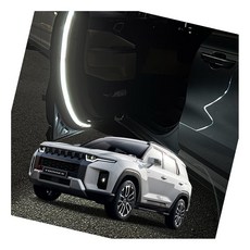 토레스 면발광 도어라이트 경고 풋등 교통사고 웰컴등, 모듈만 추가(부속품X)/도어라이트모듈(1개)