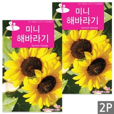 세인화분 미니 해바라기 10립, 2개