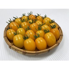 糖馨黃色小蕃茄種子 台農二號 不停心品種 耐高溫, 1包