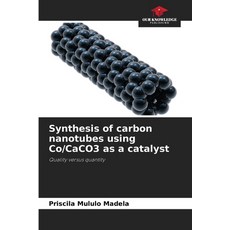 (영문도서)Synthesis of carbon nanotubes using Co/CaCO3 as a catalyst Paperback, Our Knowledge Publishing, English, 9786202458580