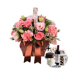 꽃바구니 선물 기념일 GIFT 세트상품 (좋은날 a-0154) 케이크 빼빼로 샴페인 초콜릿 사탕 전국당일배송 생일 생신 어버이날 선물 카네이션, + 사탕, 일반