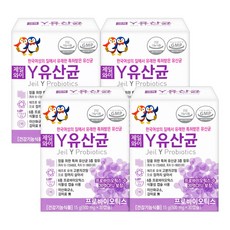 쎈트힐 제일와이 Y유산균 15g, 30정, 4개