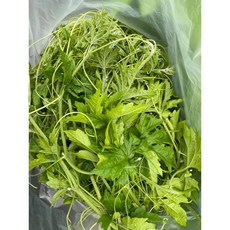 여주잎1kg/여주순/ la kho qua/아시아 농장 송소희/아이스박스 포장, 1개