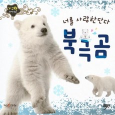 너를 사랑한단다 북극곰, 인북, 편집부 저, 지구별 자연동화, 없음null