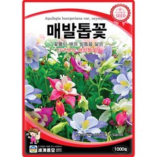 세계종묘 매발톱꽃 씨앗 1000립 매발톱꽃 꽃씨 다년생 야생화 종자, 1개 1개