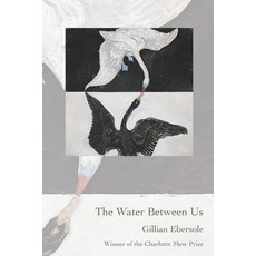 The Water Between Us Paperback, Headmistress Press, English, 9781733534581