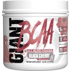 GIANT SPORTS 2:1:1BCAA補充粉 黑櫻桃口味, 1個, 492g
