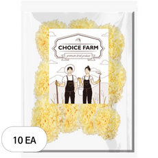 초이스팜 백목이버섯, 500g, 10개