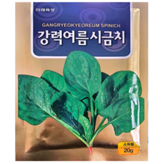 여름시금치씨앗 20g 고온기시금치 종자 추대안정 미래