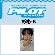 Stray Kids 3RD FAN MEETING PILOT :FOR 官方周邊特典小卡, 1個, 彰彬 B
