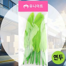 미니 새깃털 연두 유아미술재료 장식소품 드림캐쳐깃털 공예재료 홈데코장식품 수업준비물