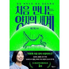 처음 만나는 양자의 세계 : 양자 역학부터 양자 컴퓨터까지