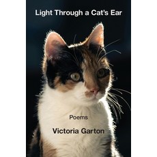 (英文圖書)Light Through a Cat's Ear 平裝版, Kelsay Books, 英文
