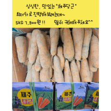 [임가네농산] 당근 국내산 제주당근 5KG 10KG, 1개