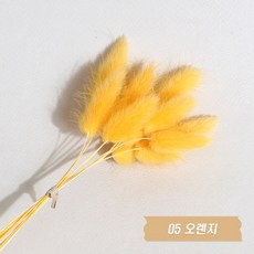화연양화 프리저브드플라워 선별 라그라스 강아지풀 10개입, 05 오렌지
