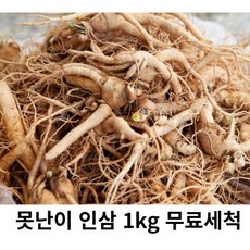 못난이 인삼 5년근 파지 인 인삼파삼 못난이실속형 인삼, 1kg, 1개, 1kg 인삼 파삼 세척( 0 )