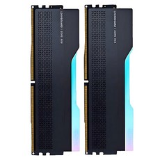 글로웨이 DDR5 데스크탑 RGB 램 블랙 C30 16GB GW6000N16G-RA 2개입, 1개 1개
