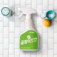 닥터클린 곰팡이 항균 전용 방지제 베란다 벽지 가구 화장실 곰팡이균 억제 500ml, 1개