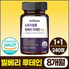 뉴트리블룸 100% 정품 빌베리 루테인 마리골드 추출 분말 up, 2개, 120정
