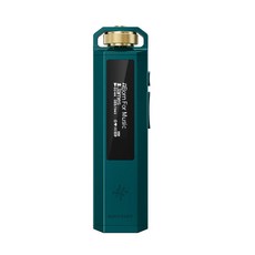 피오 에코 FiiO 음원 ECHO 무손실 초소형 DAC MP3 내장 NANO, 1, E. 그린