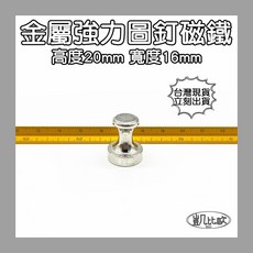 凱比歐 釹鐵硼強力圖釘磁鐵, A0742 金屬圖釘磁鐵16MM（7入）, 金屬