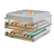 全自動孵蛋機 120枚 110V/12V雙電壓 自動翻蛋溫控 適用雞鴨鵝鳥蛋, 1個, 120枚全自動孵蛋機110V+12V二用, 120枚全自動孵蛋機