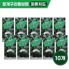 청개구리 멤브렌 리필형 방향제 자동차 탈취제 10개 청개구리멤브렌 피톤치드향X10개 1SET, 피톤치드