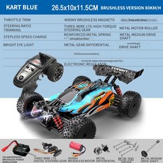 RC 자동차 브러시리스 전동 오프로드 드리 프트 고속 장난감, 1개, 브러시리스 블루카트