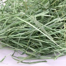寵物提摩西牧草 高纖低塵 促進消化 兔子天竺鼠適用, 1kg, 1個