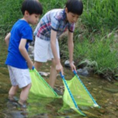 [도담랩] 어린이물고기잡기게임 물고기 족대 소형