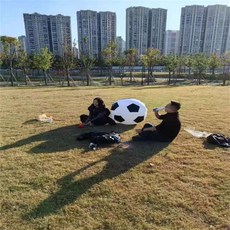 充氣球 戶外運動 超大球 兒童超大足球 運動 拋接 親子互動 巨大號, 1.3米黑白球不含泵, 1個