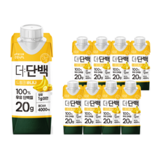 더단백 드링크 바나나, 250ml, 9개